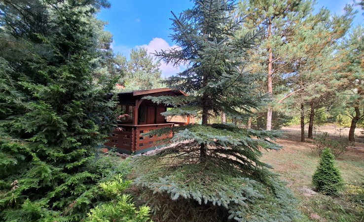 działka na sprzedaż - Białe Błota