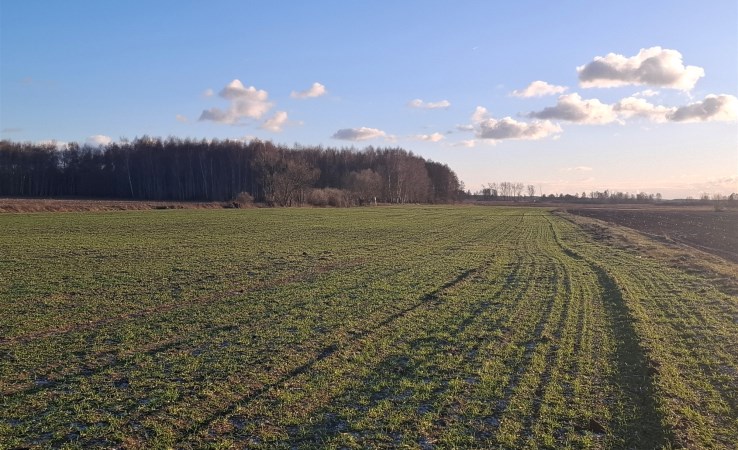 działka na sprzedaż - Białe Błota, Kruszyn Krajeński